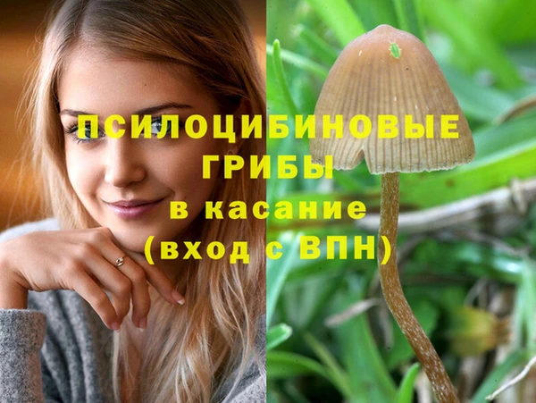 стаф Остров