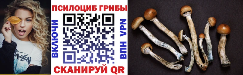 Псилоцибиновые грибы GOLDEN TEACHER  Заринск 